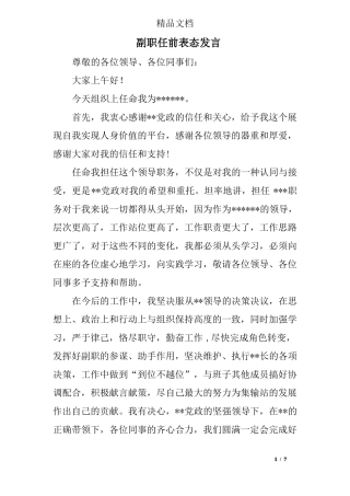 副职任前表态发言