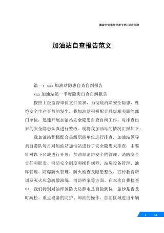 加油站自查报告范文