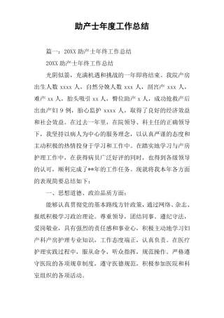 助产士年工作总结