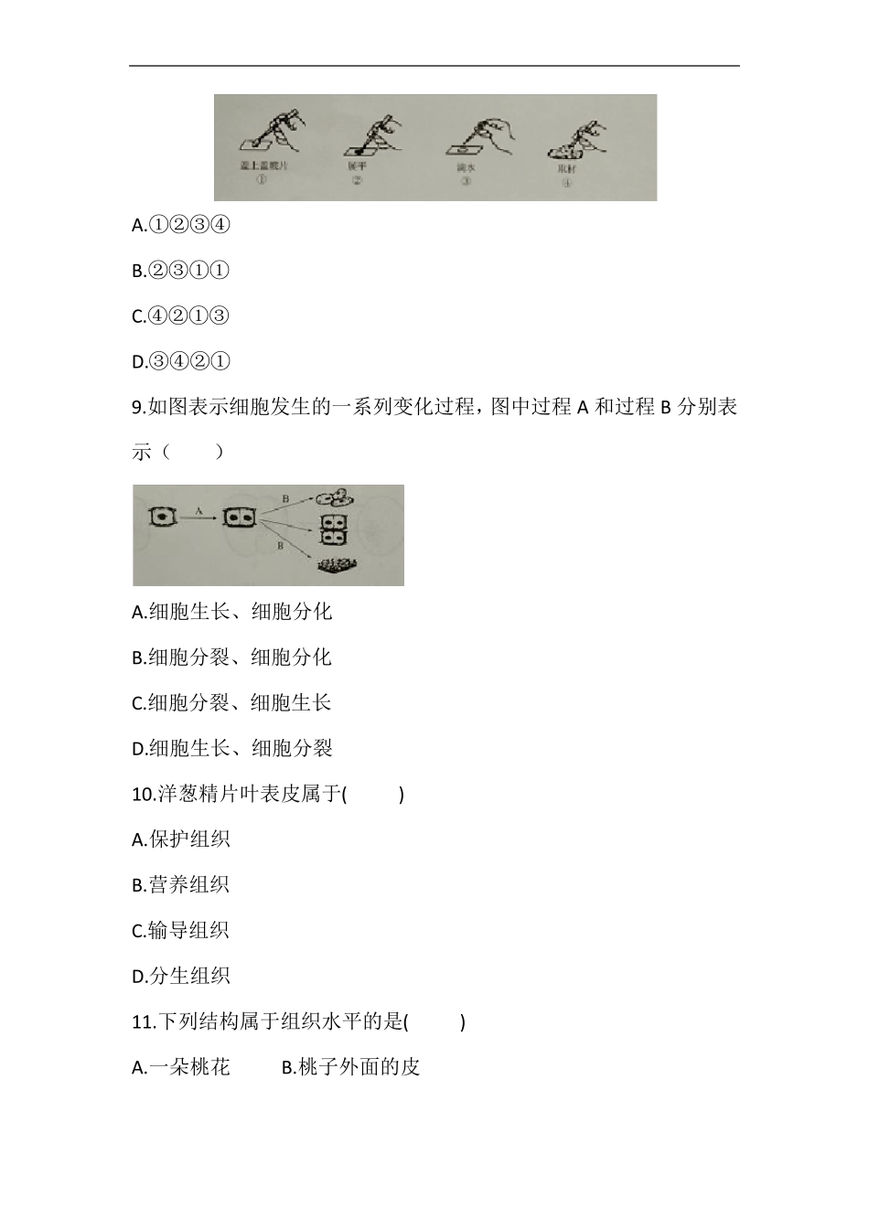 北师大版七年级上册生物生物体的结构测试卷版,含答案_第3页