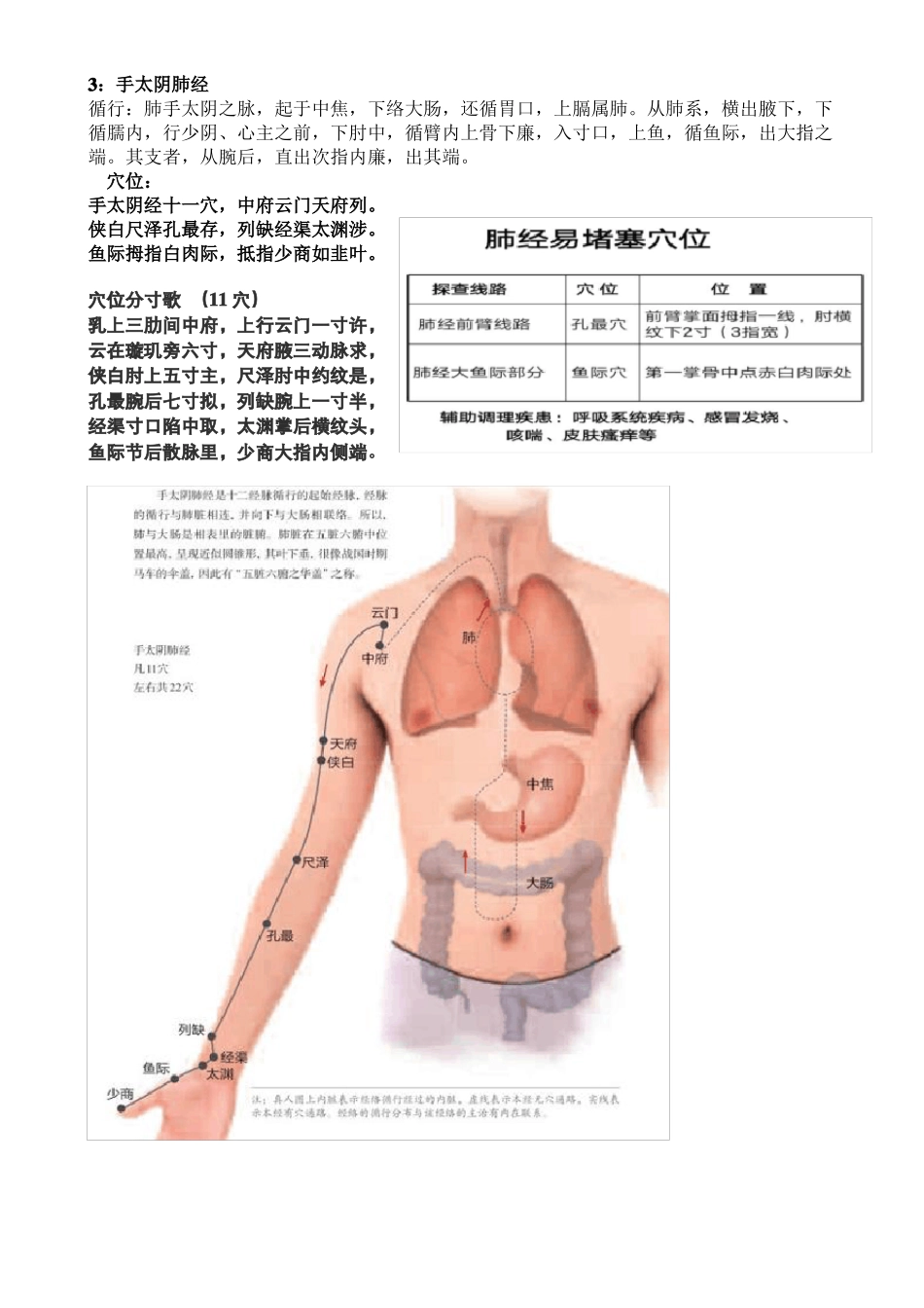 十四经循行及穴位歌诀A_第3页