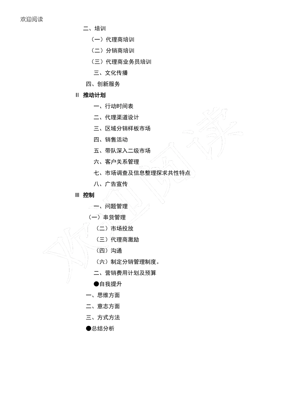 华东大区规划书模板_第2页