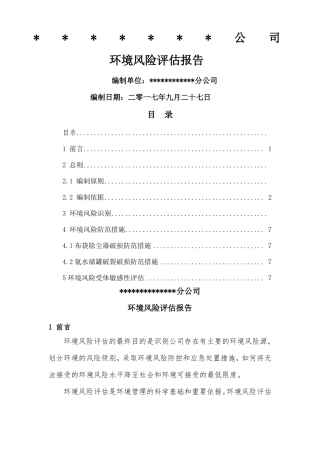 华为公司环境风险评价报告
