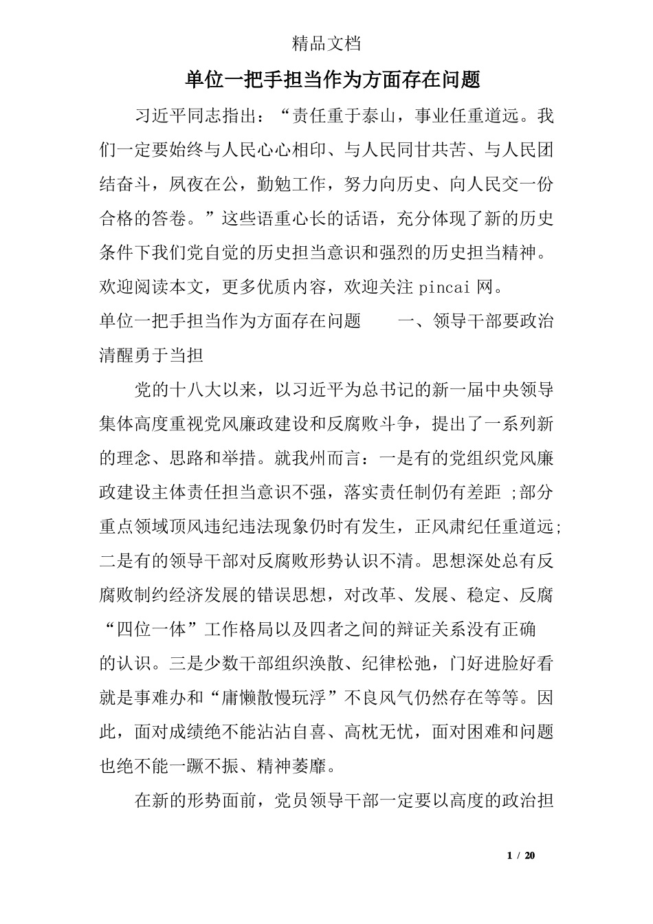 单位一把手担当作为方面存在问题_第1页