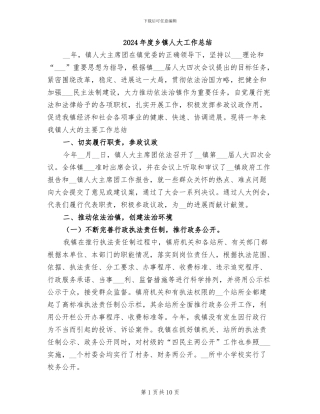 2024年度乡镇人大工作总结