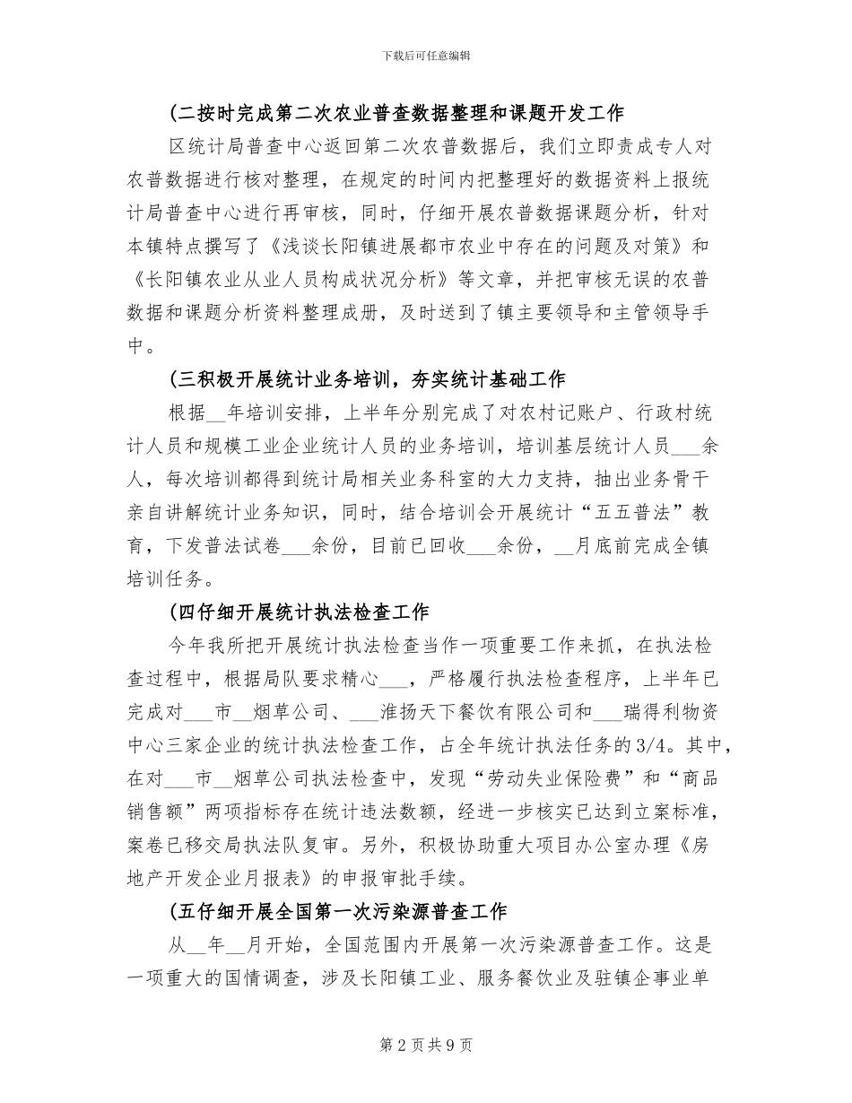 2024年度乡镇统计个人总结_第2页