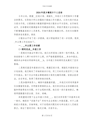 2024年度乡镇统计个人总结