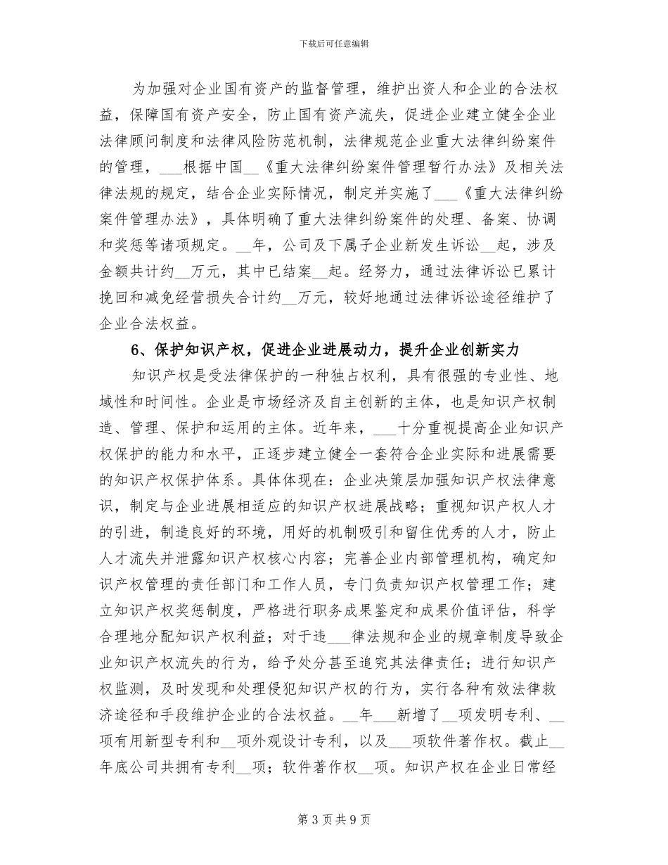 2024年度公司总法律顾问工作总结_第3页