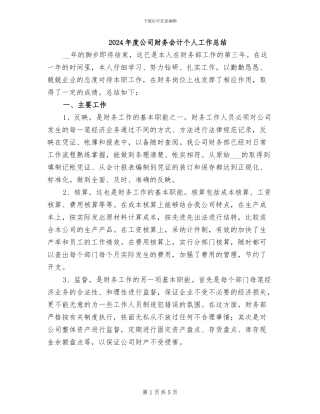 2024年度公司财务会计个人工作总结