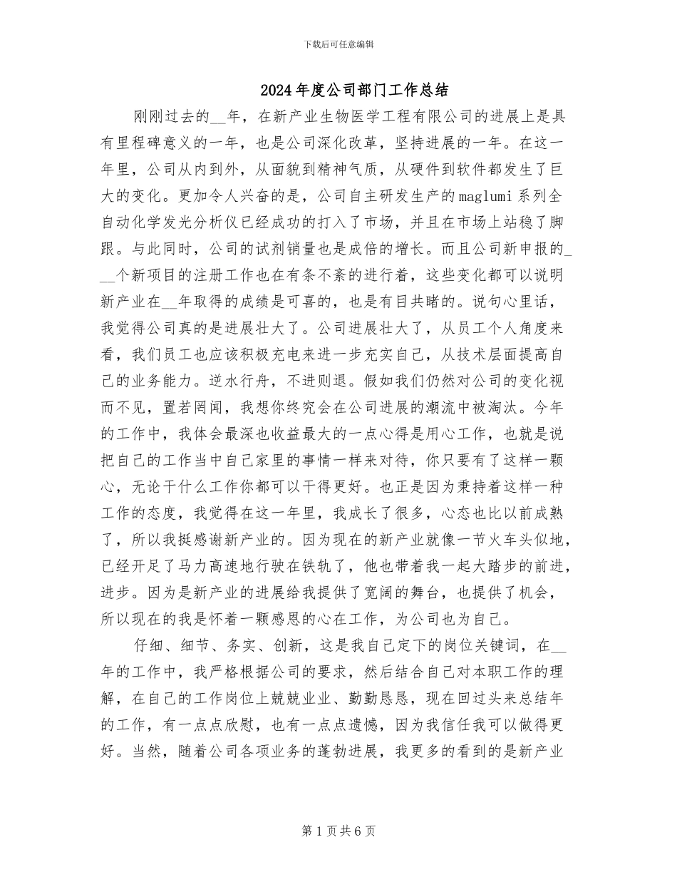 2024年度公司部门工作总结_第1页