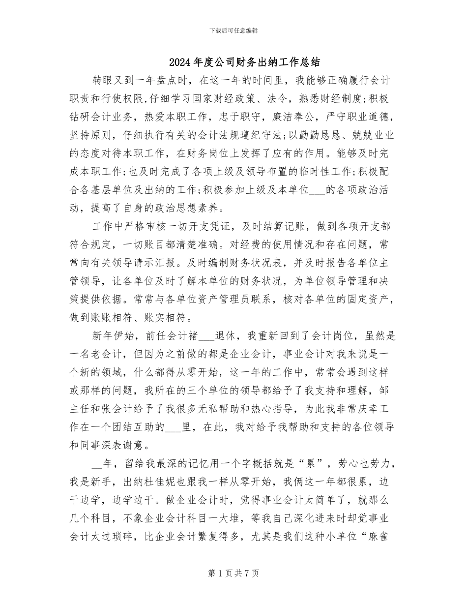 2024年度公司财务出纳工作总结_第1页