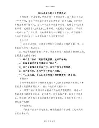 2024年度医药公司年终总结