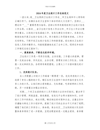 2024年度卫生统计工作总结范文