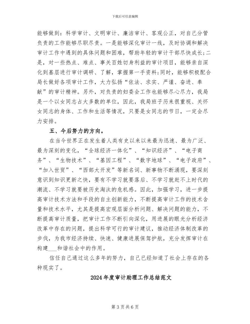 2024年度审计助理工作总结_第3页