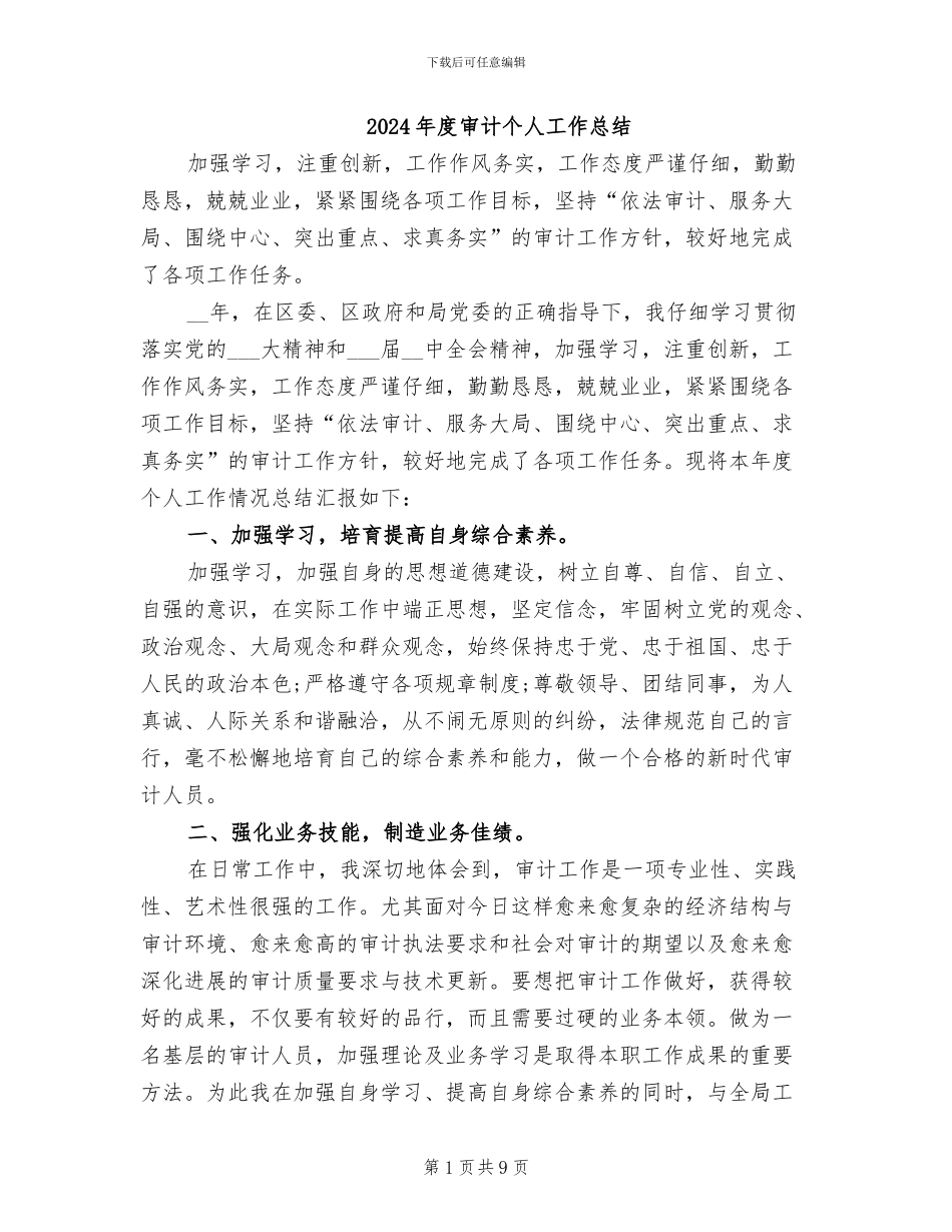 2024年度审计个人工作总结_第1页