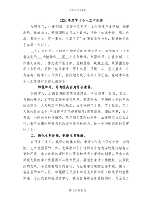 2024年度审计个人工作总结