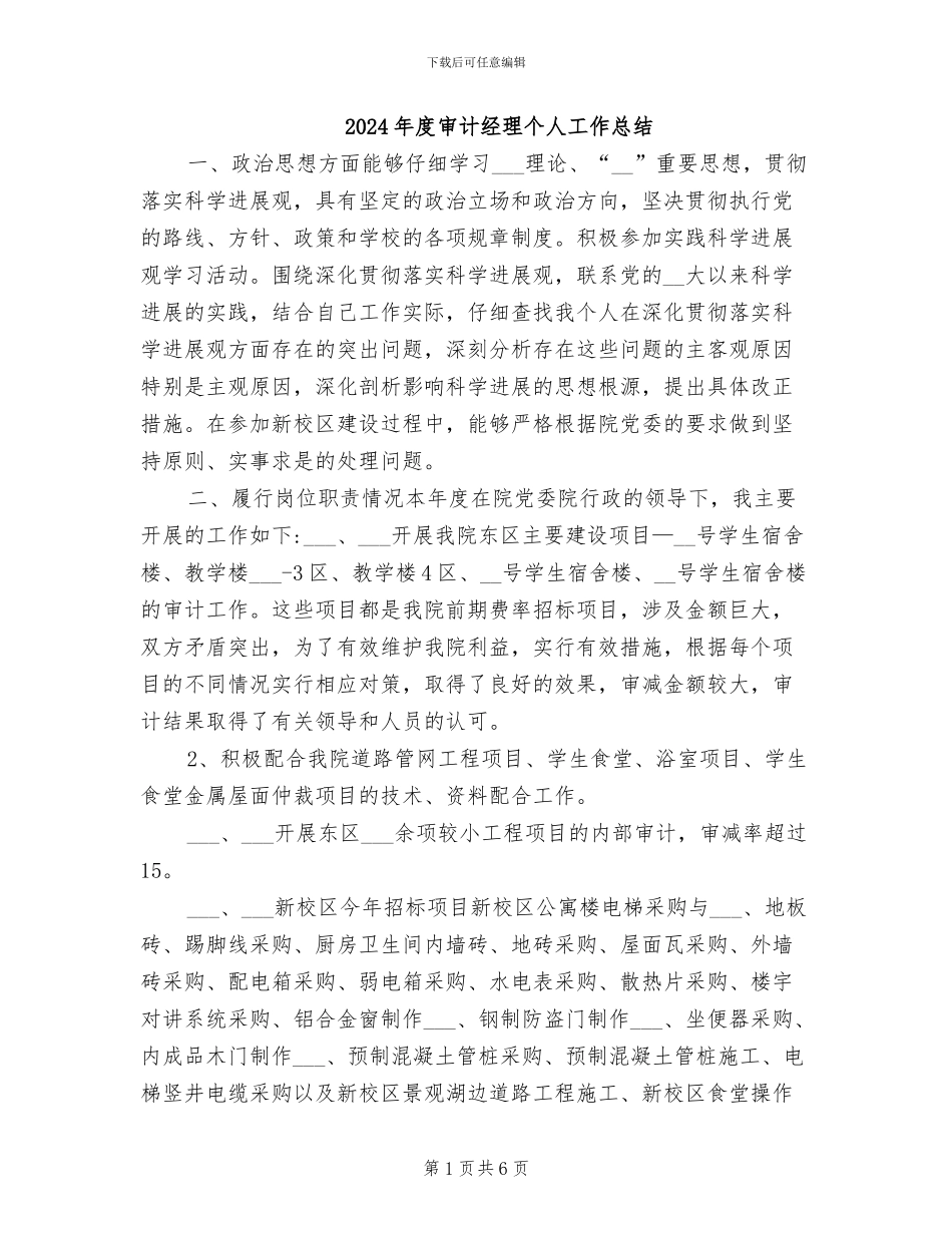 2024年度审计经理个人工作总结_第1页