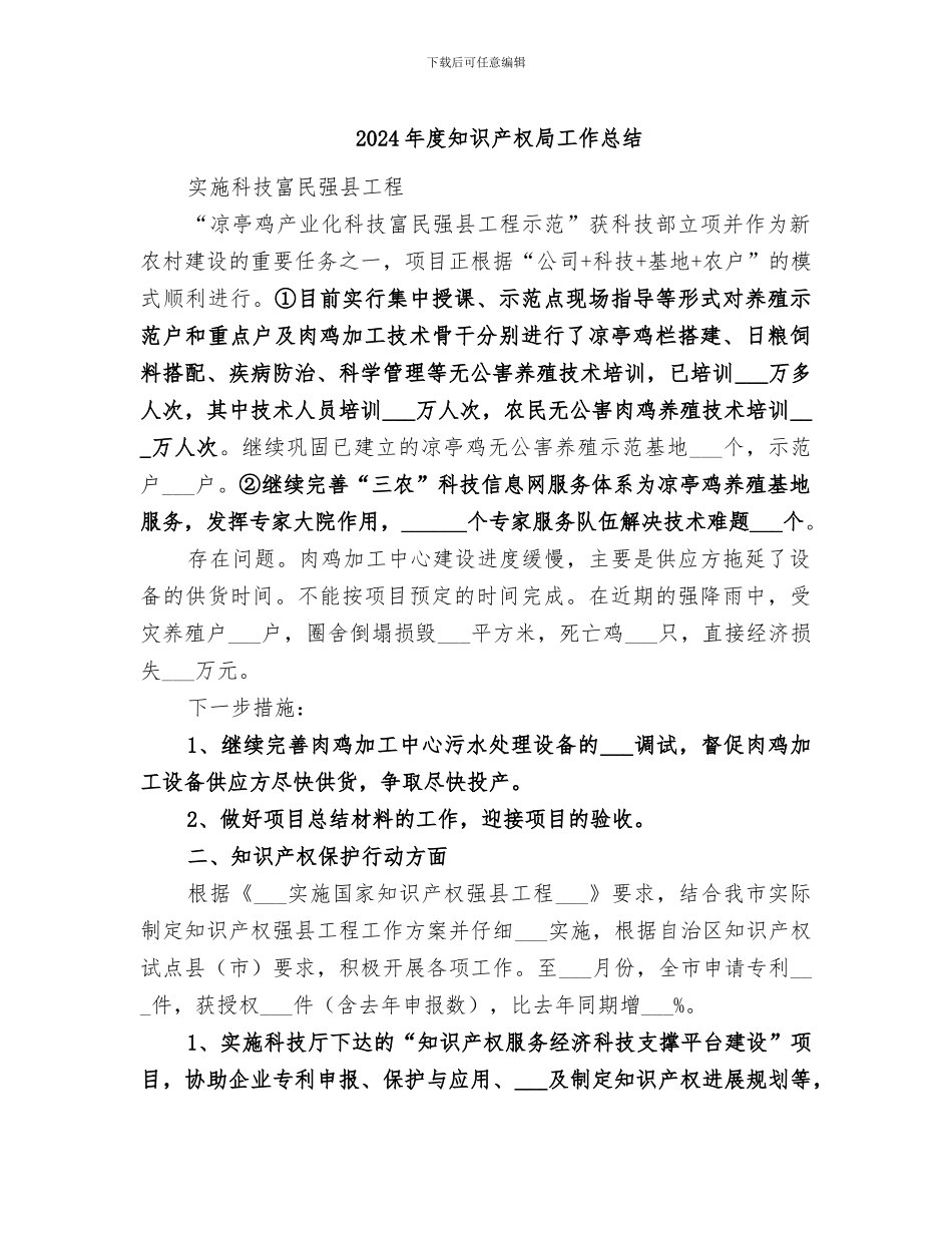 2024年度知识产权局工作总结_第1页