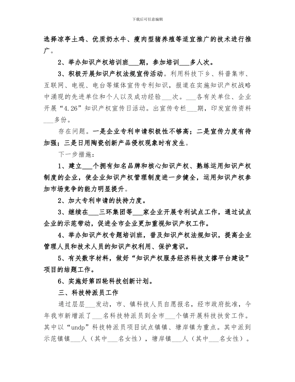 2024年度知识产权局工作总结_第2页