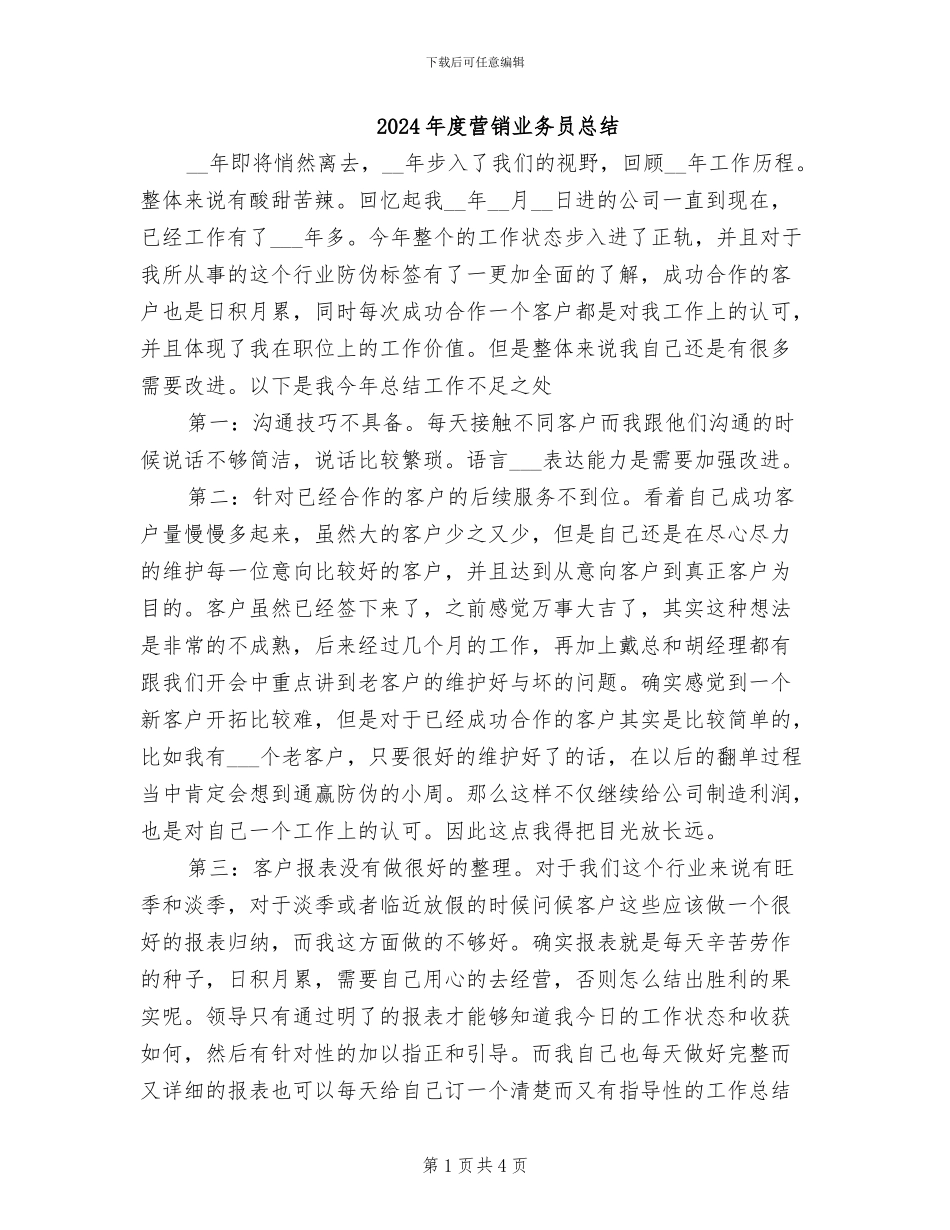 2024年度营销业务员总结_第1页