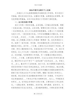 2024年度计生统计个人总结