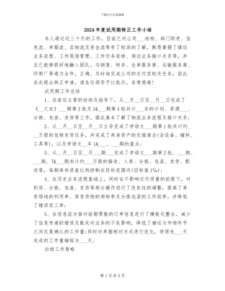 2024年度试用期转正工作小结