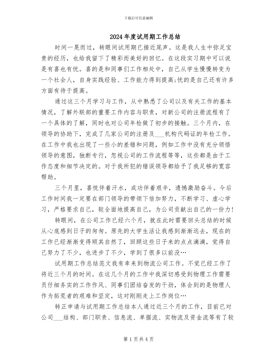 2024年度试用期工作总结_第1页