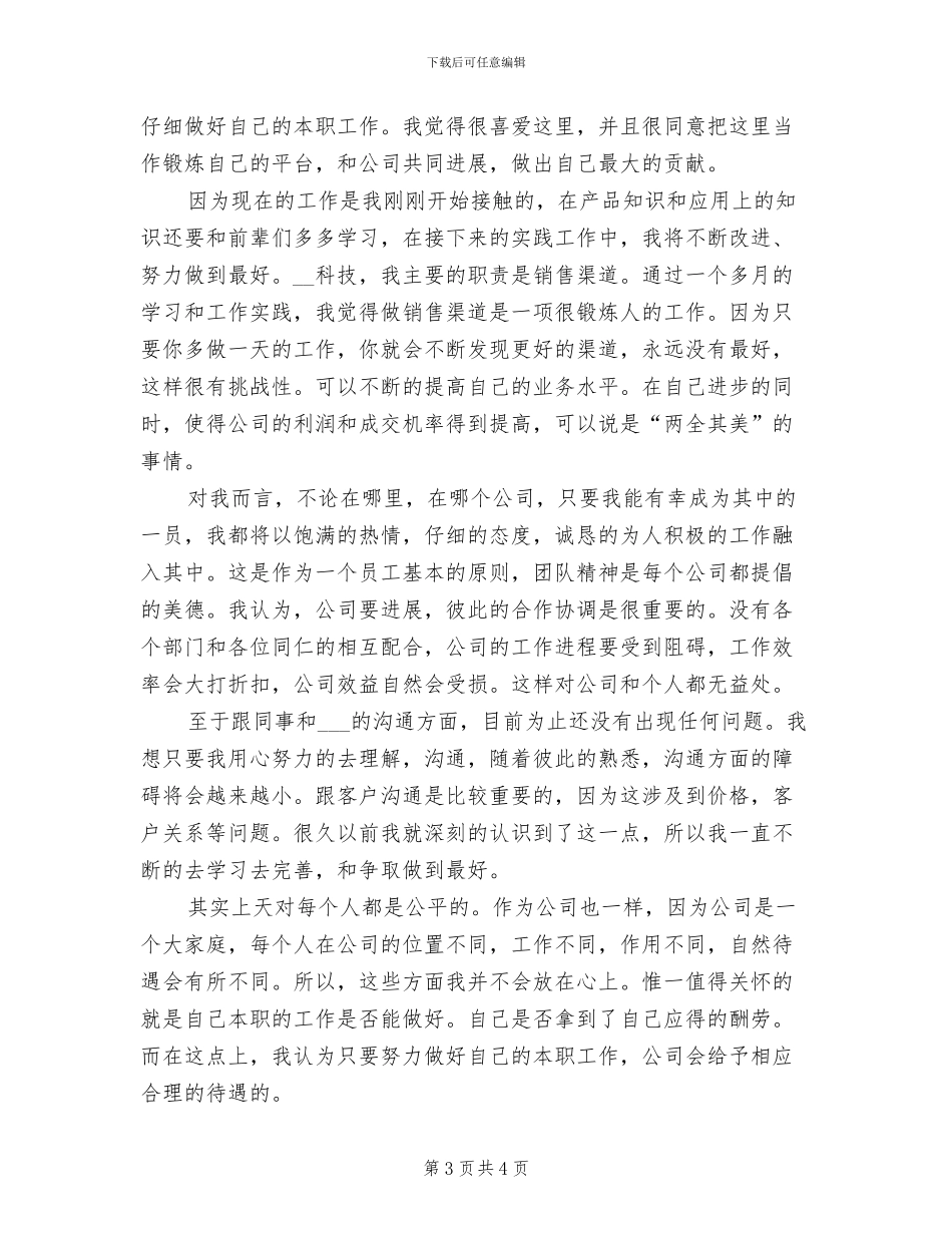 2024年度销售员试用期工作总结_第3页