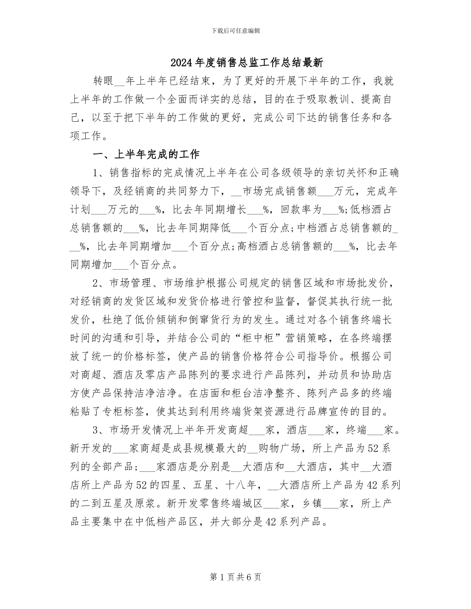 2024年度销售总监工作总结最新_第1页