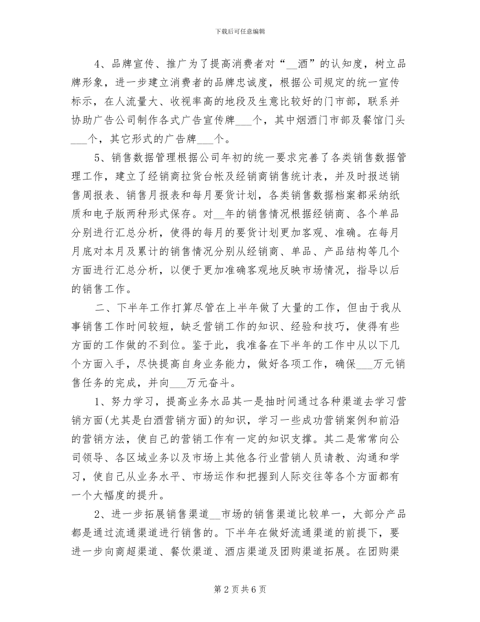 2024年度销售总监工作总结最新_第2页