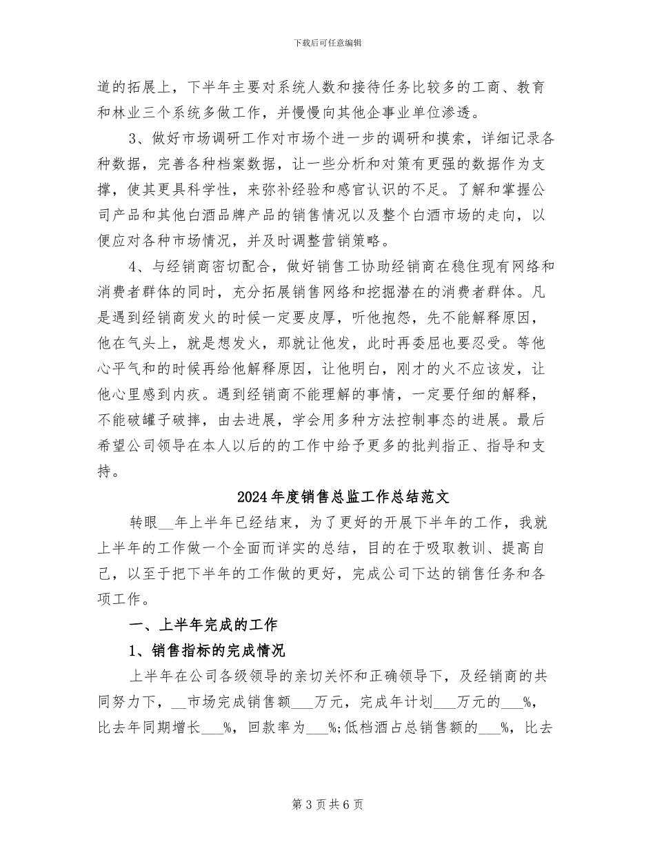 2024年度销售总监工作总结最新_第3页