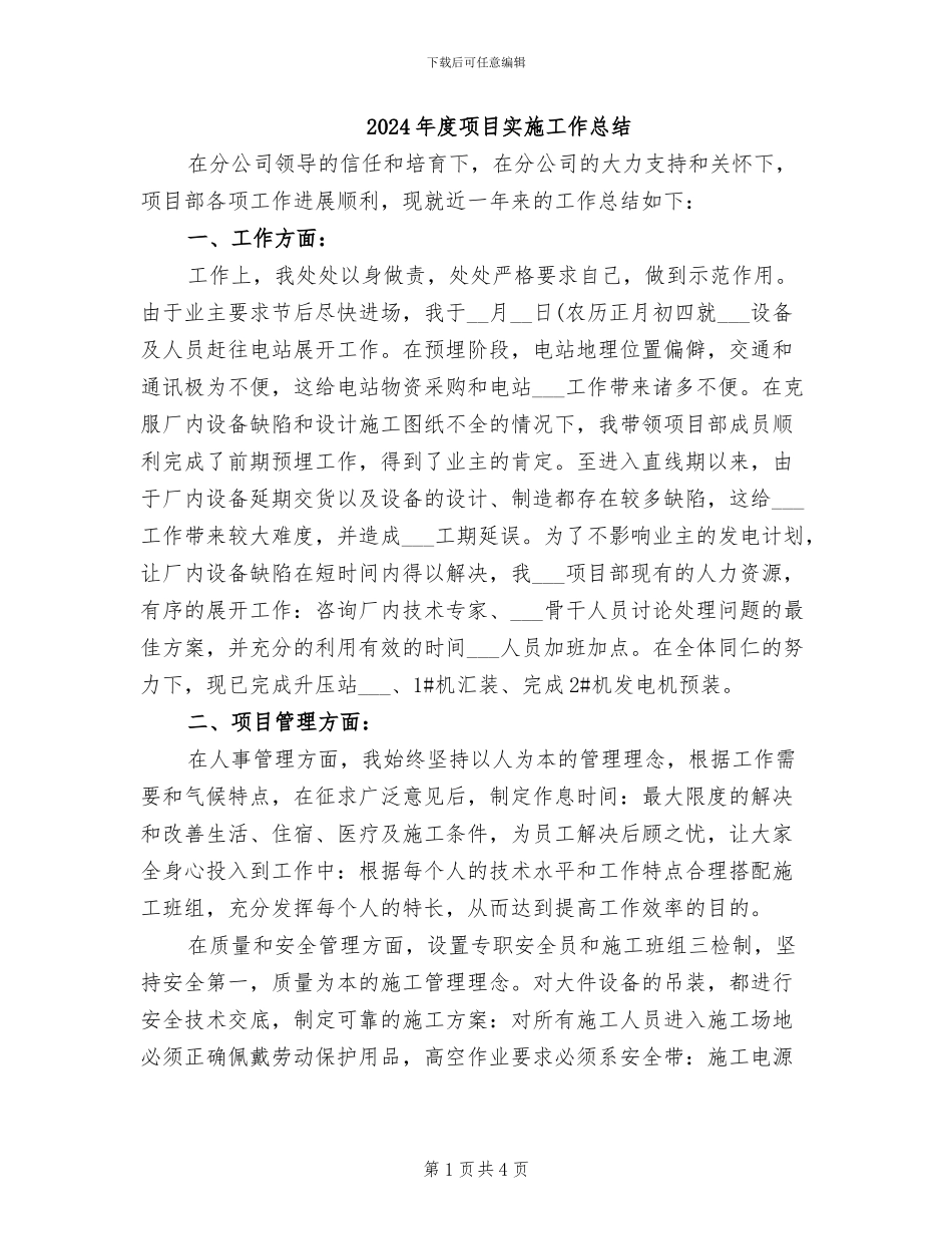 2024年度项目实施工作总结_第1页