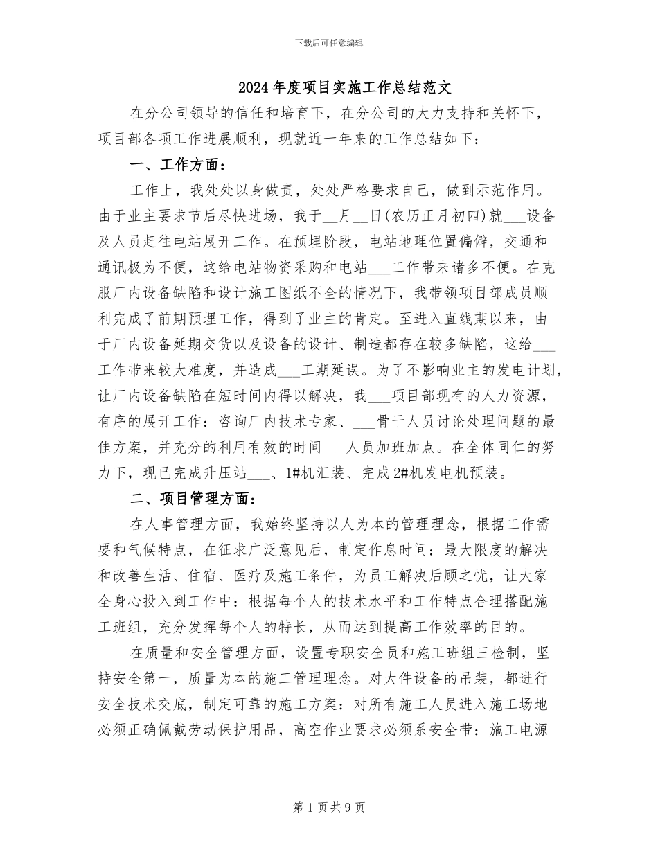 2024年度项目实施工作总结范文_第1页