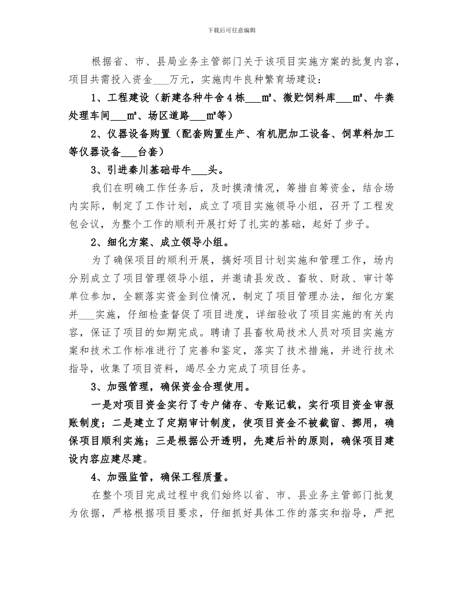 2024年建设项目工作总结范本_第2页