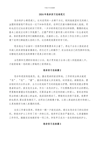 2024年急诊实习总结范文