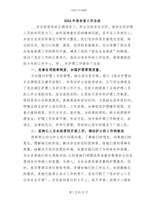 2024年急诊室工作总结