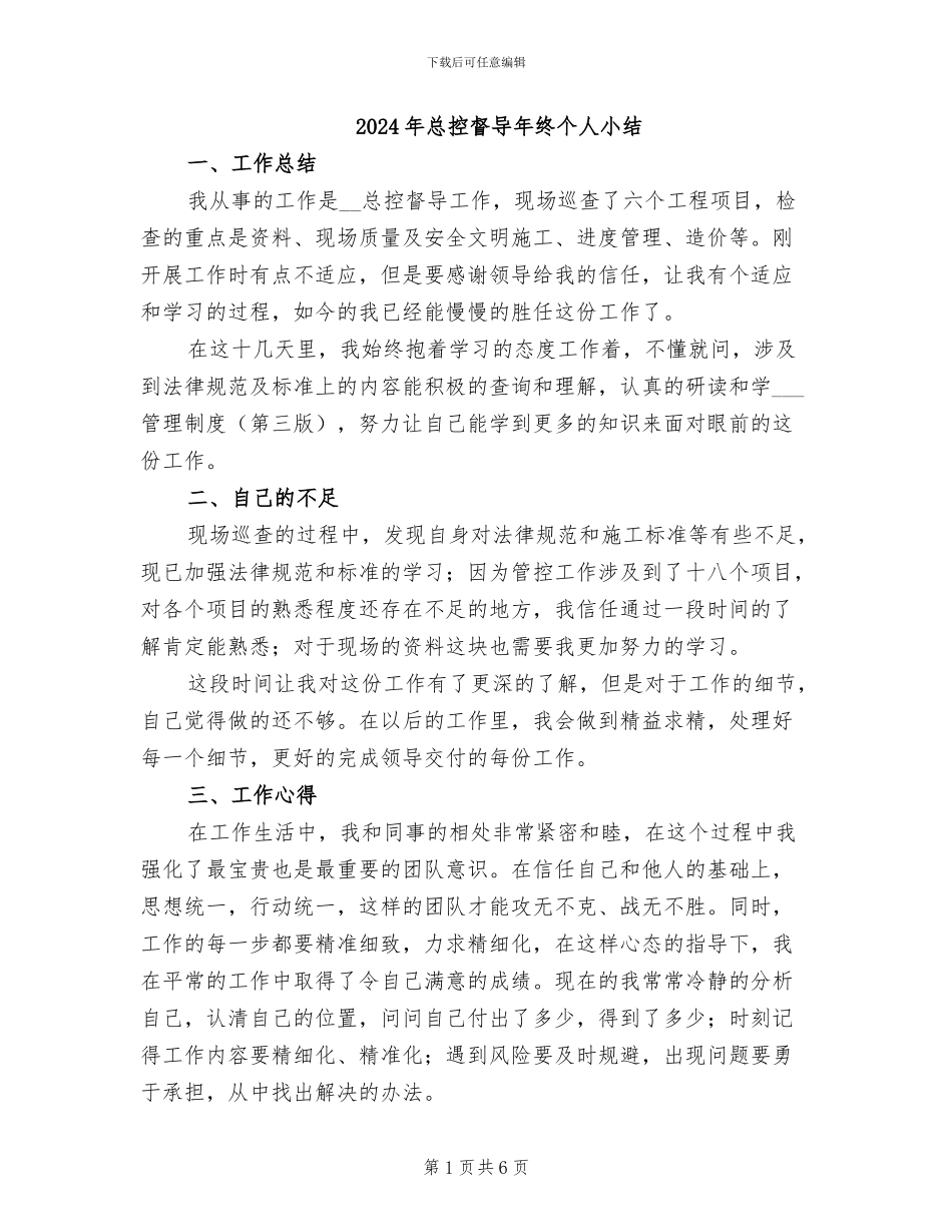 2024年总控督导年终个人小结_第1页