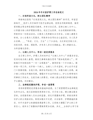 2024年手术室护理工作总结范文