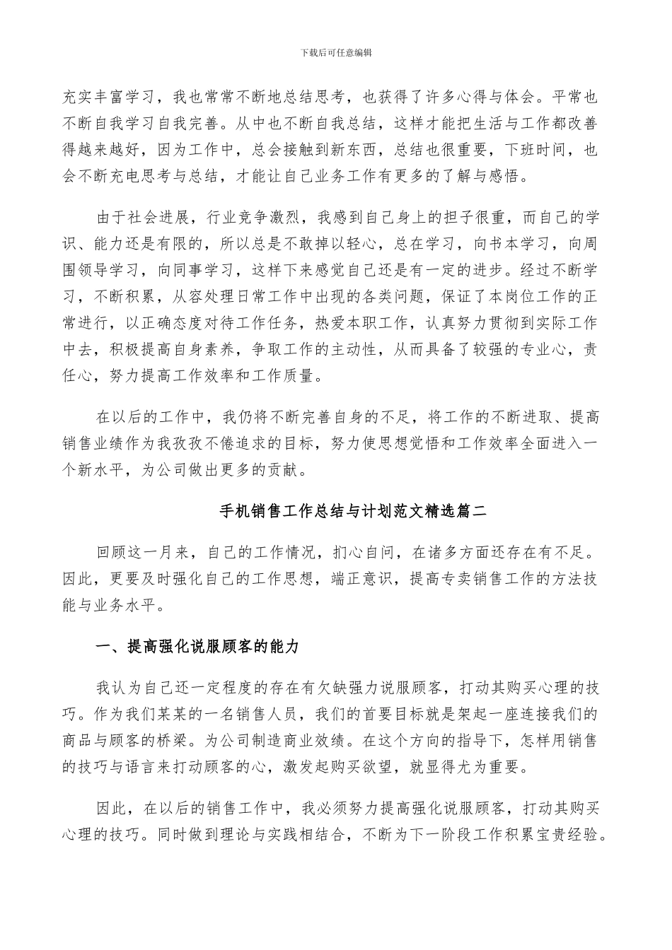 2024年手机销售工作总结与计划范文_第2页