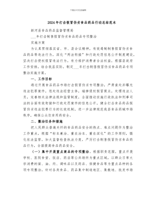 2024年打击假冒伪劣食品药品行动总结范本