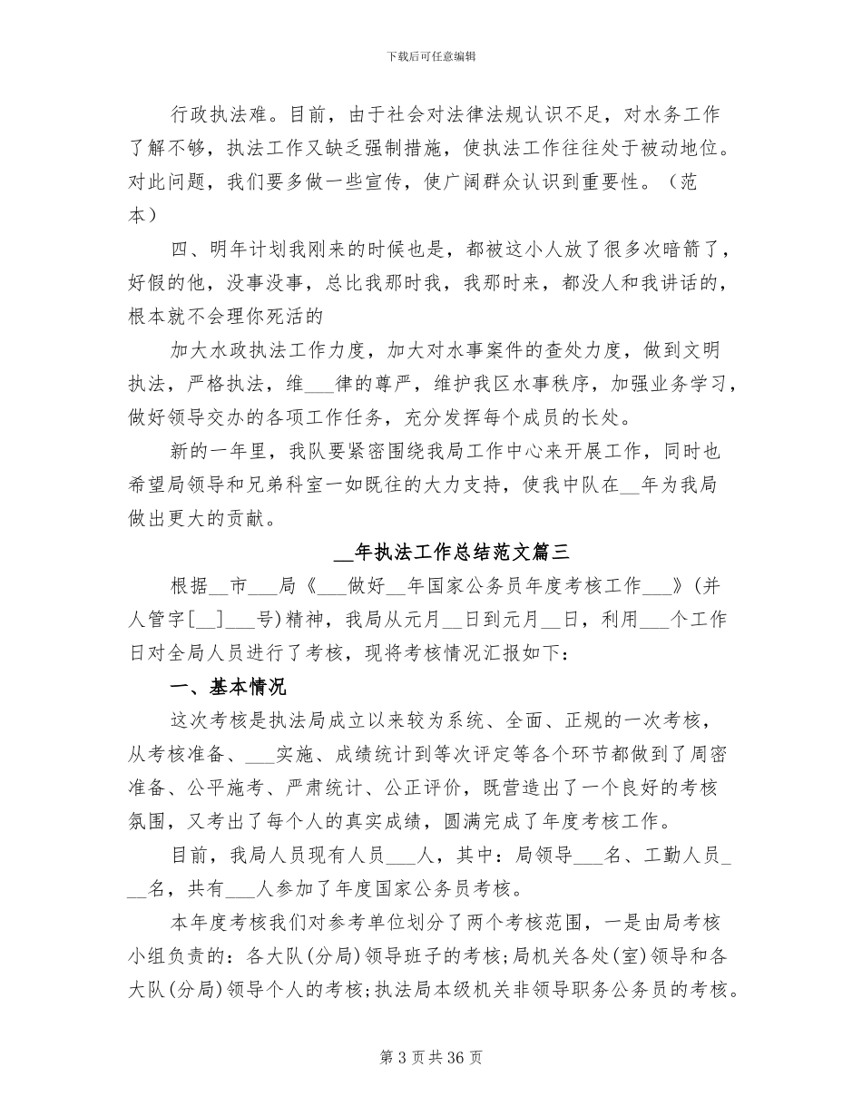 2024年执法工作总结_第3页