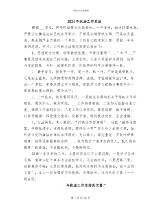 2024年执法工作总结
