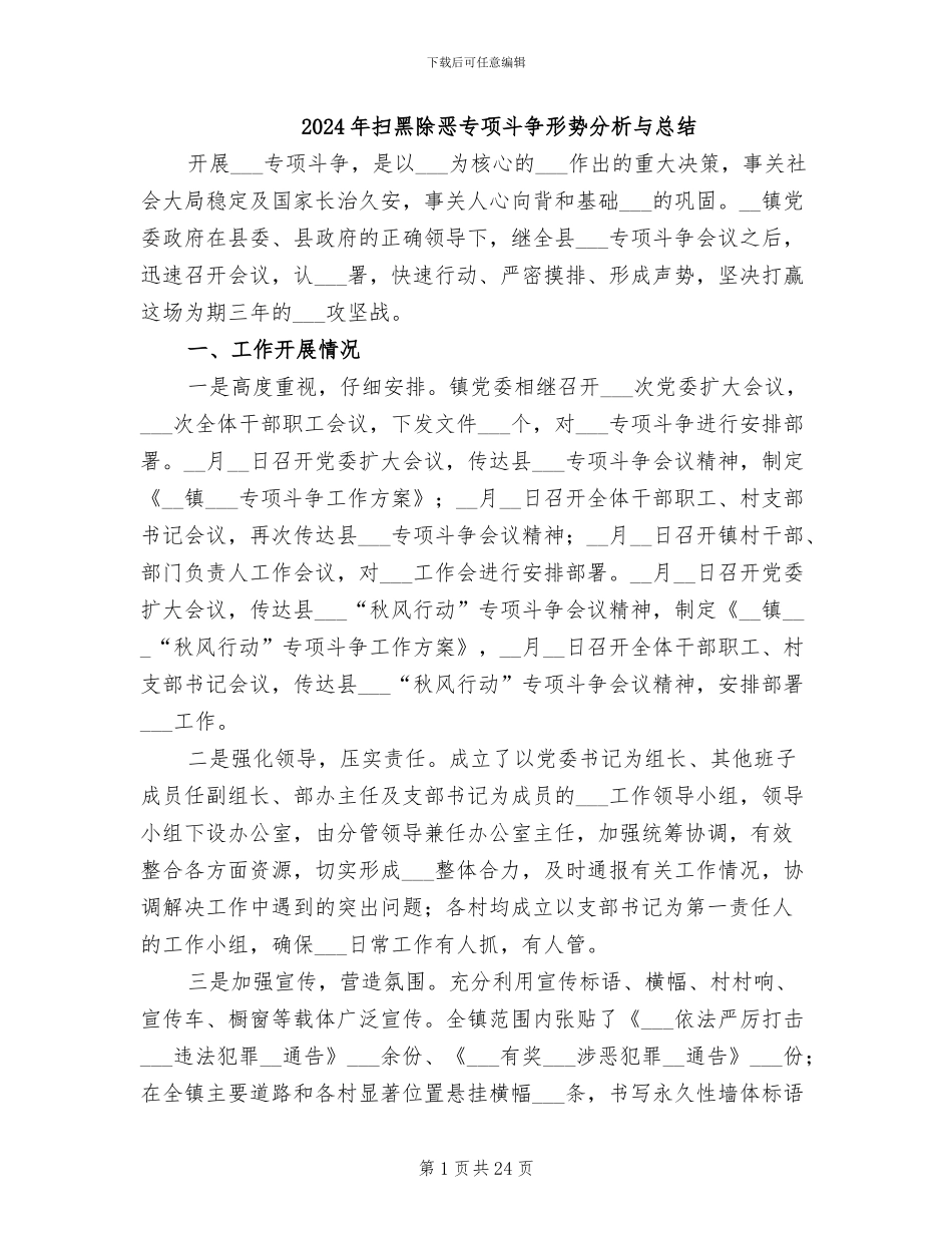 2024年扫黑除恶专项斗争形势分析与总结_第1页
