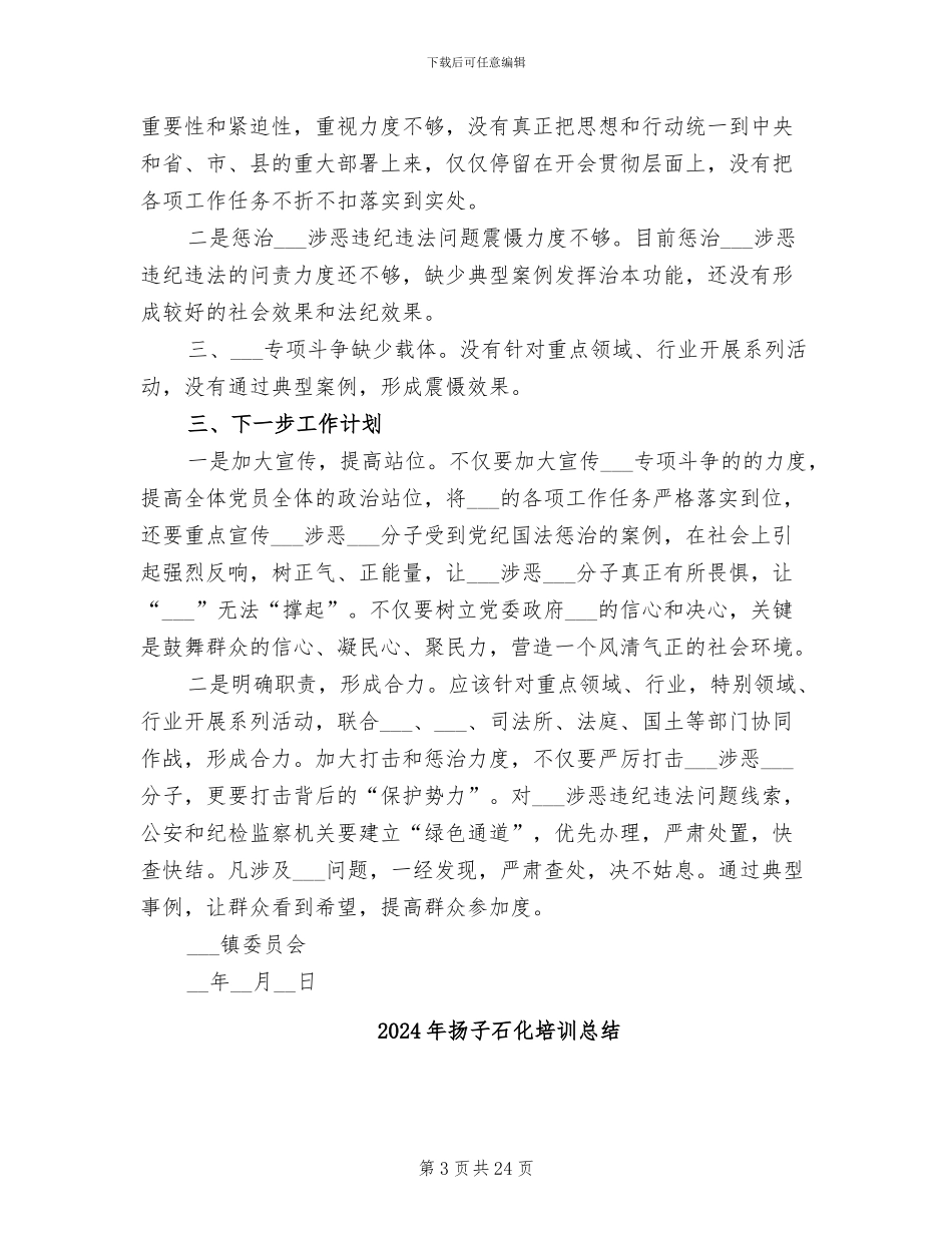 2024年扫黑除恶专项斗争形势分析与总结_第3页