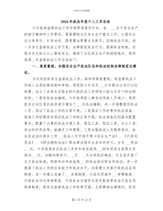 2024年执法年度个人工作总结