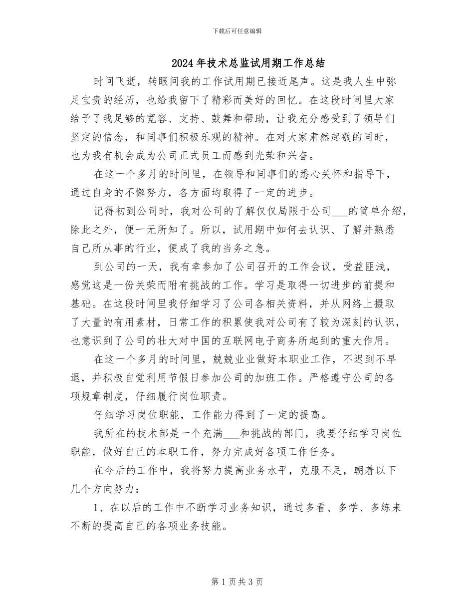 2024年技术总监试用期工作总结_第1页