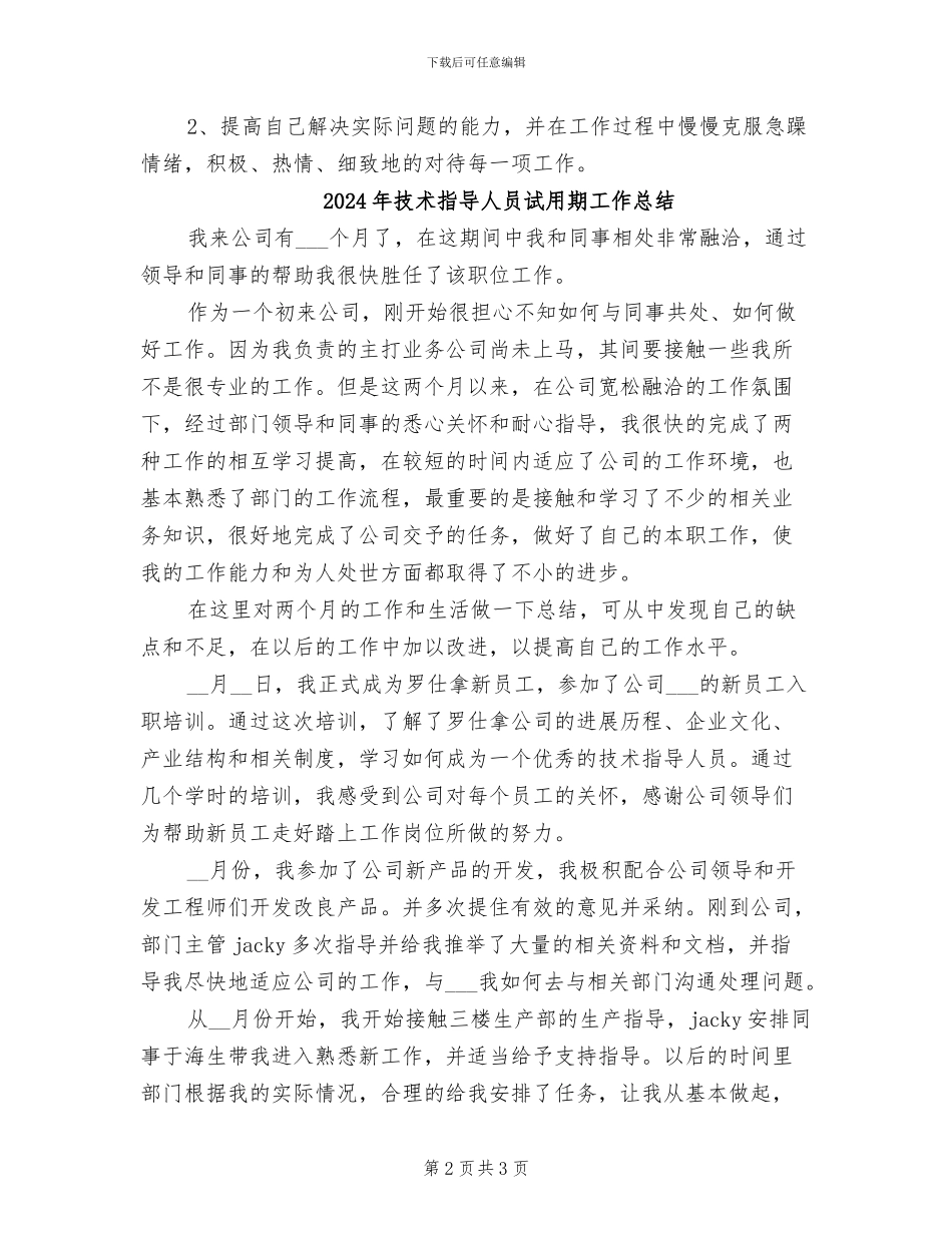 2024年技术总监试用期工作总结_第2页