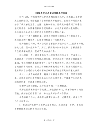 2024年技术总监试用期工作总结