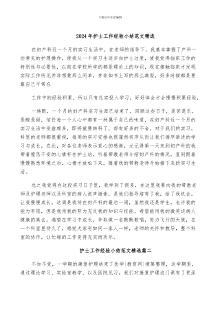 2024年护士工作经验小结范文精选