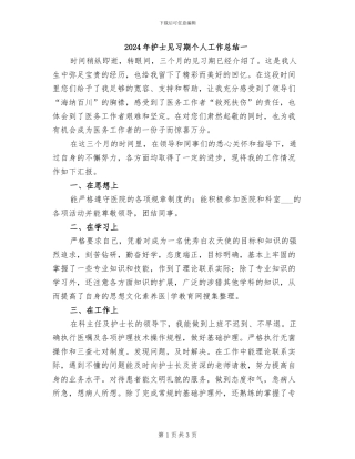 2024年护士见习期个人工作总结一